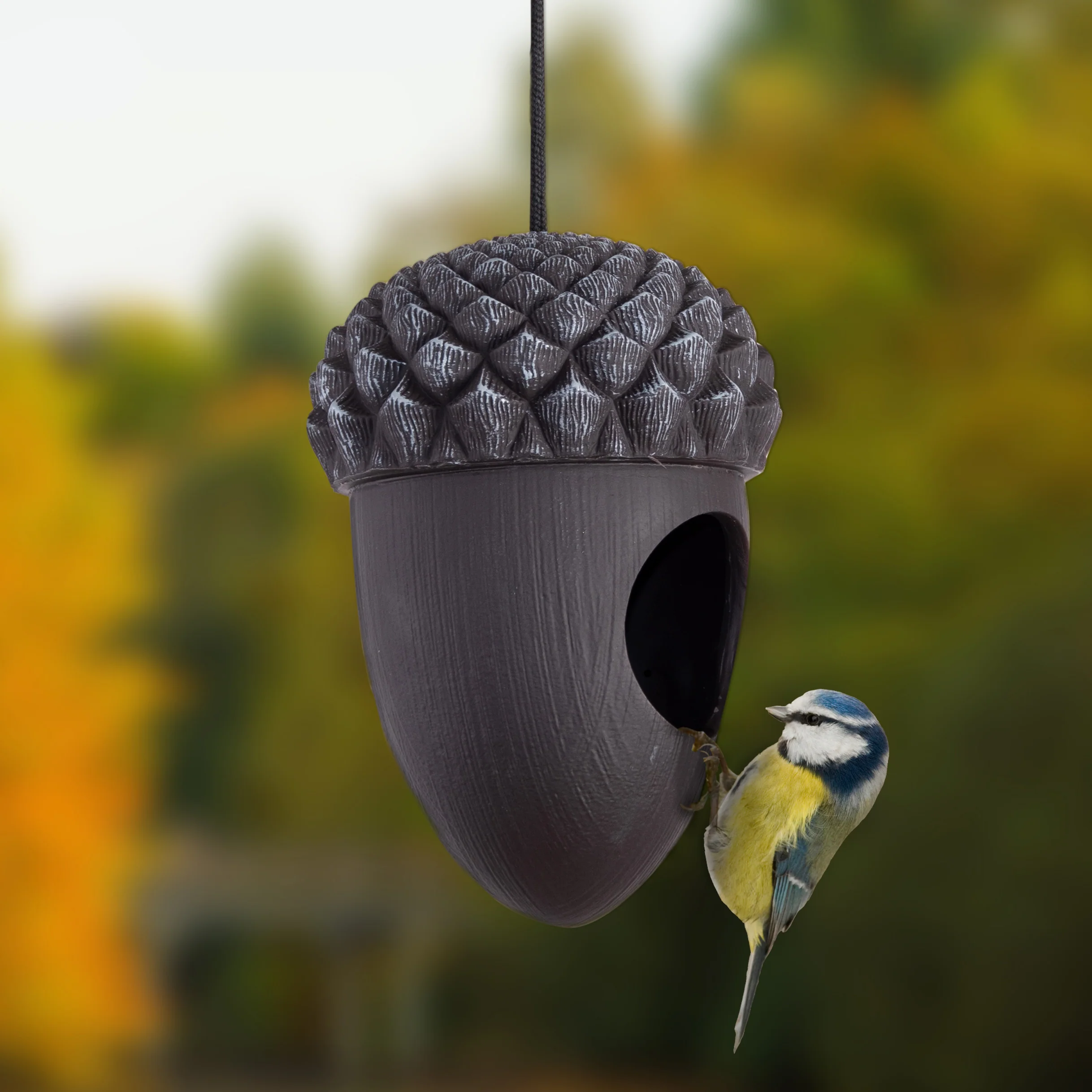 Acorn Bird Feeder For Seeds Black - Image 3
