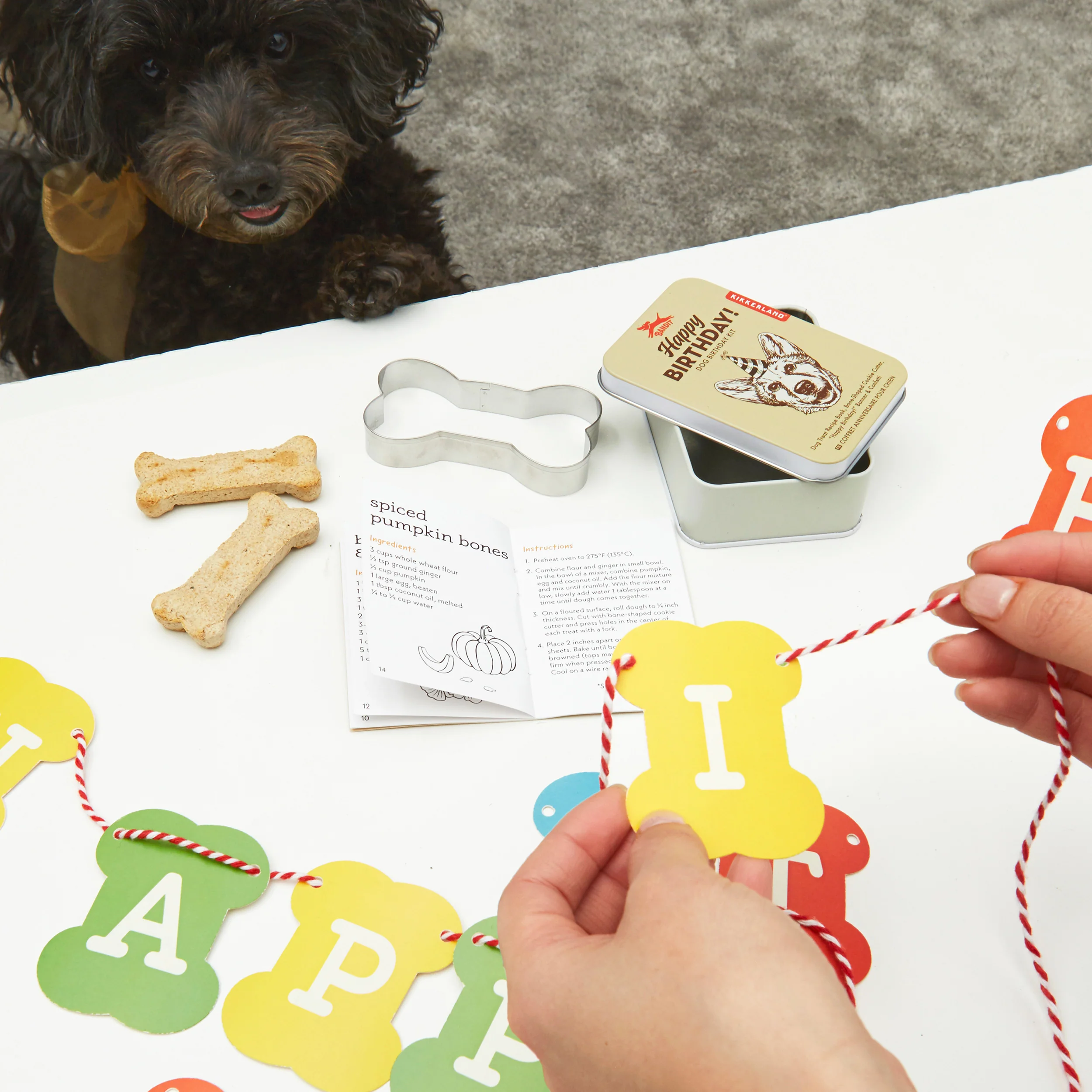 Dog Birthday Kit - Image 2