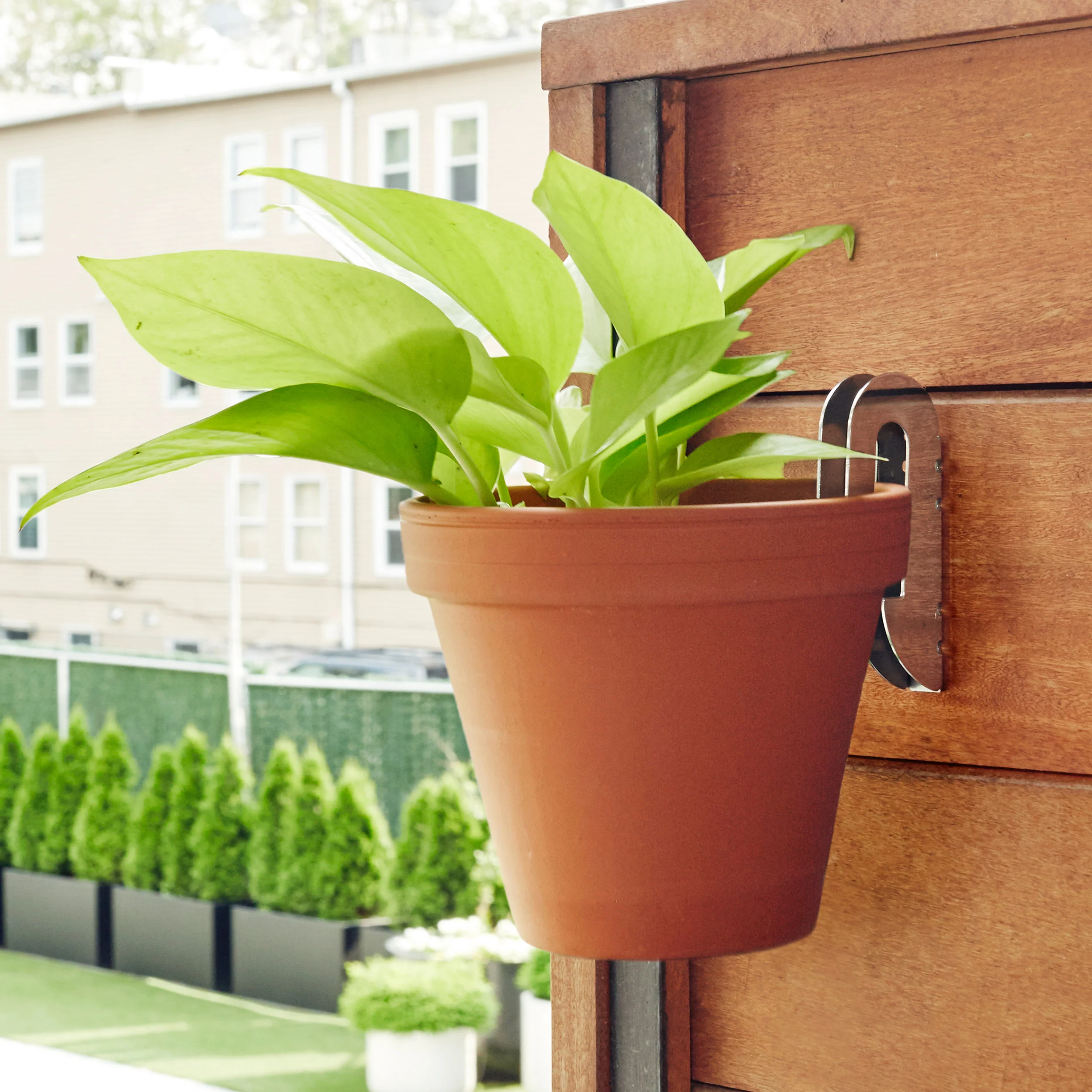 Floating Plant Hangers - Image 3