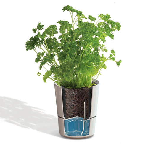 Hydro Herb Twin Pots - Image 4