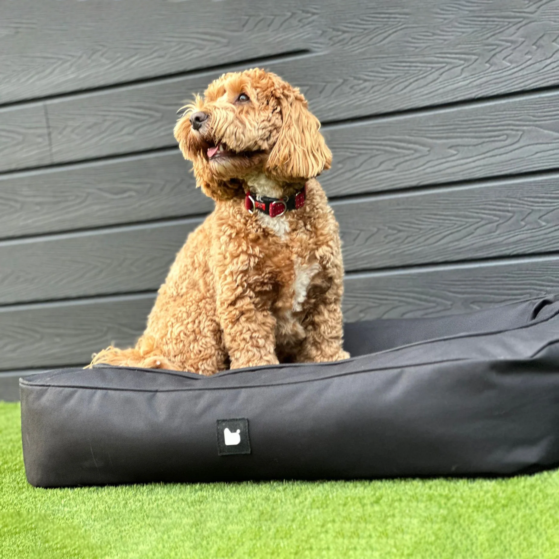 Mighty B Dog Bed - Image 7