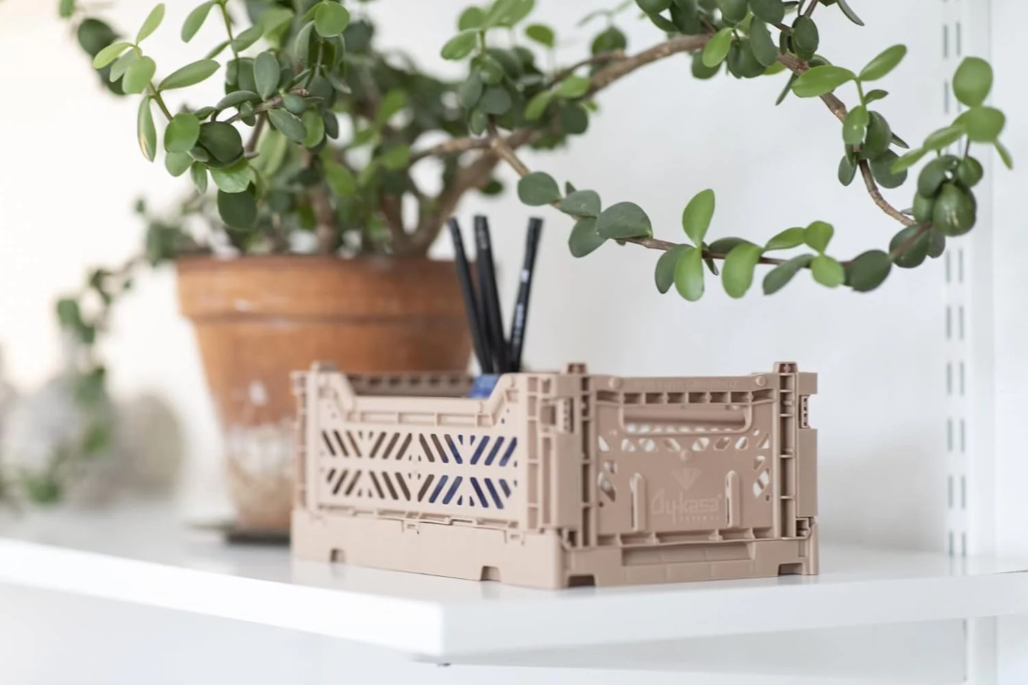 Mini Folding Crate - Aykasa - Image 5
