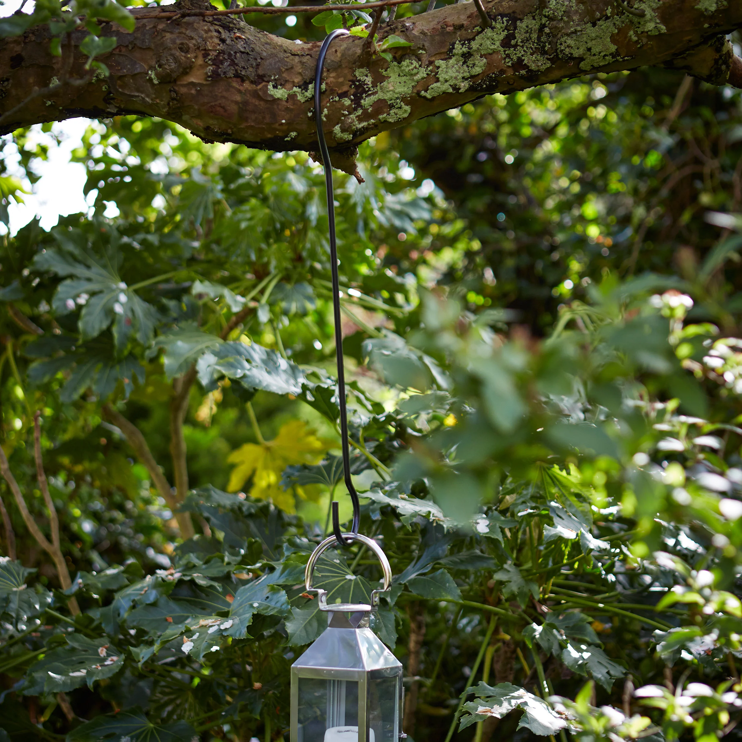 Tree Branch Hook - Image 2
