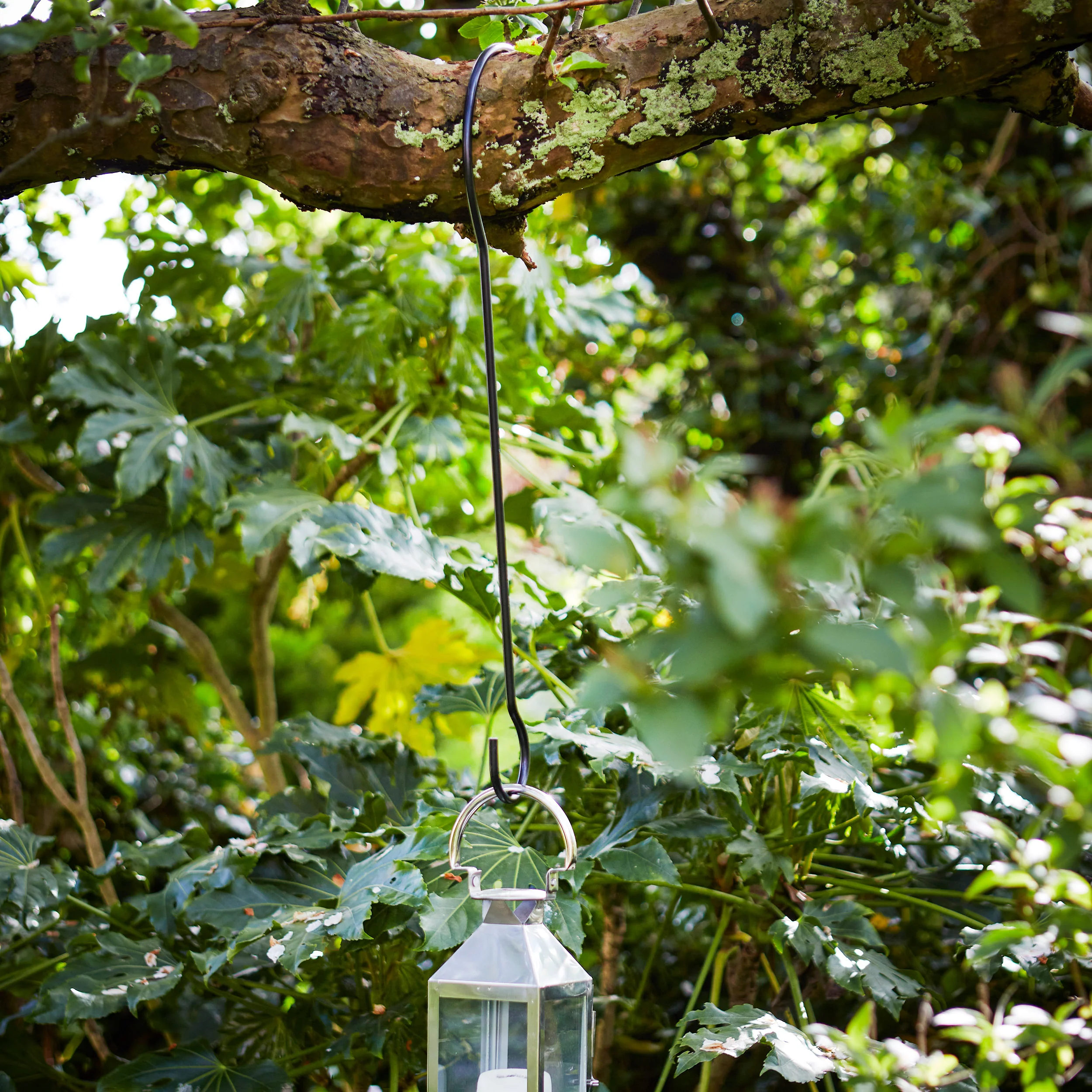 Tree Branch Hook - Image 5