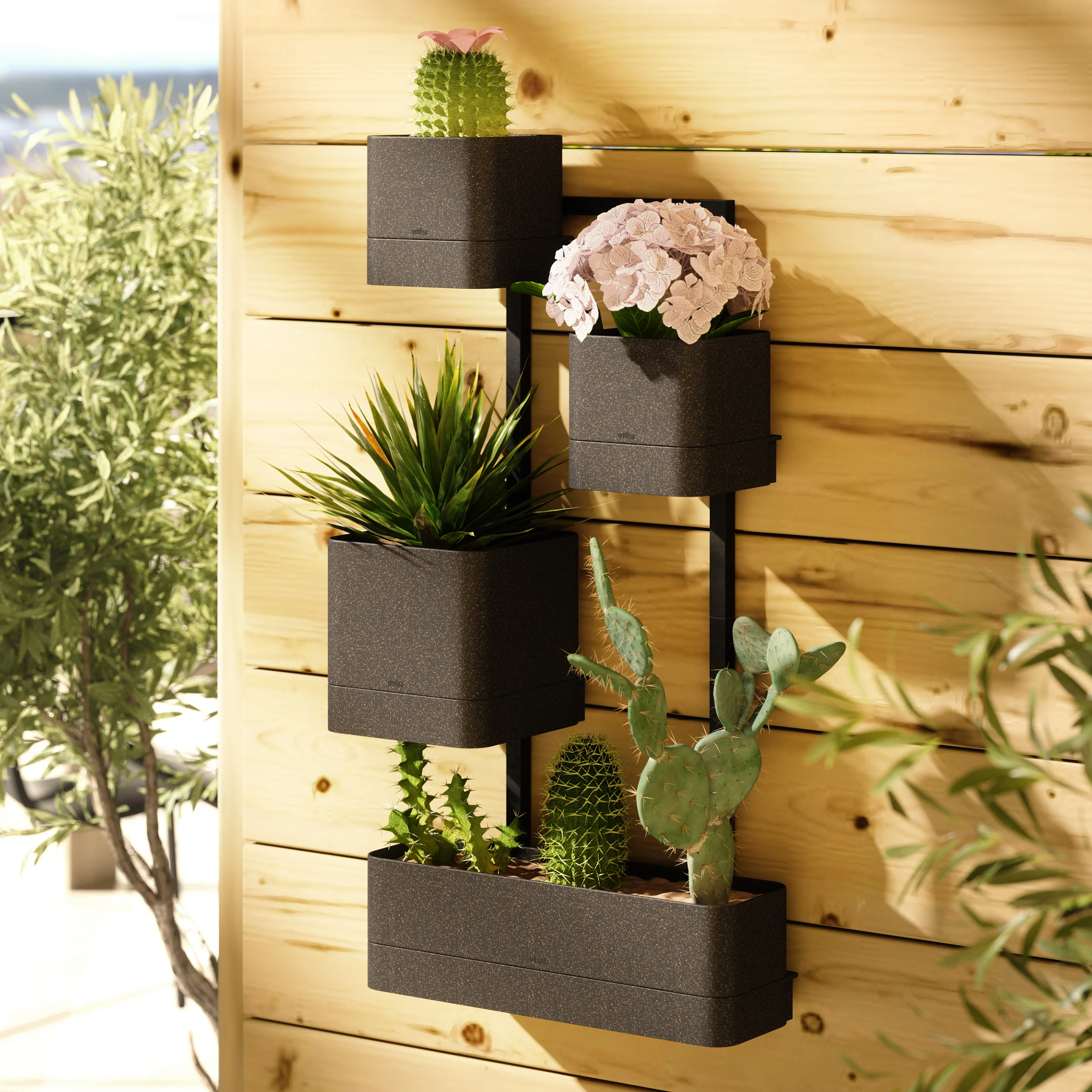 Wall Mounted Planter- Cubiko - Image 4
